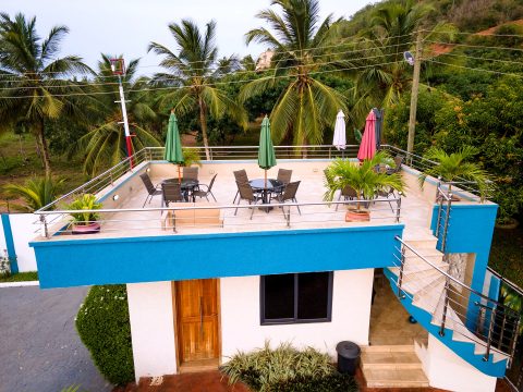 Rooftop terrace above the pool house, surrounded by coconut palms
